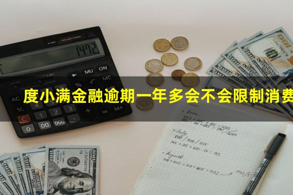 度小满金融逾期一年多会不会限制消费