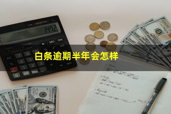 白条逾期半年会怎样?白条逾期半月