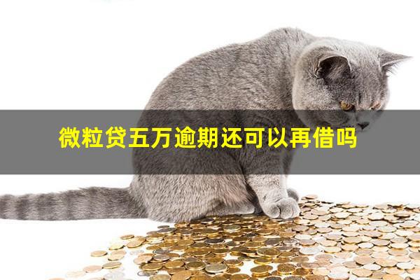 微粒贷五万逾期还可以再借吗?微粒贷逾期五万会坐牢吗