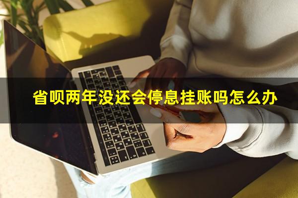 省呗两年没还会停息挂账吗怎么办