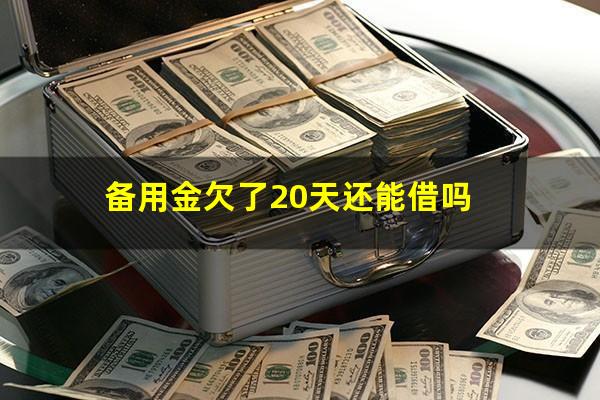 备用金欠了20天还能借吗?备用金逾期20天还了还能借吗