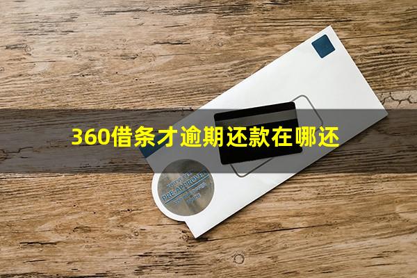 360借条才逾期还款在哪还