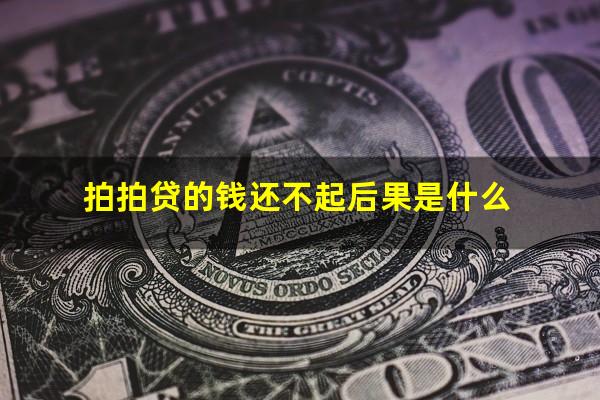 拍拍贷的钱还不起后果是什么?拍拍贷的钱还不起后果是什么情况