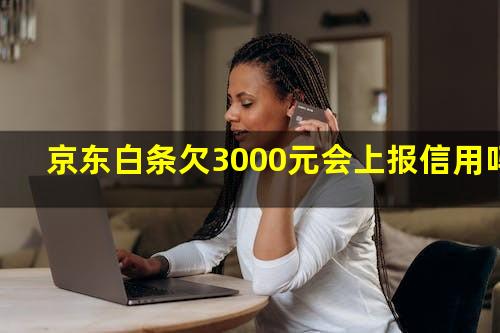 京东白条欠3000元会上报信用吗?京东白条欠3000元会被起诉吗