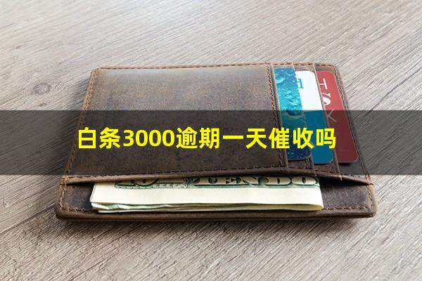 白条3000逾期一天催收吗?白条逾期3000块上征信咋办