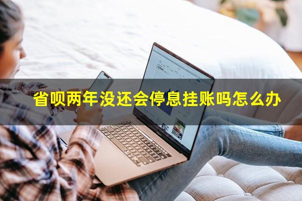 省呗两年没还会停息挂账吗怎么办?省呗没还上会怎么样