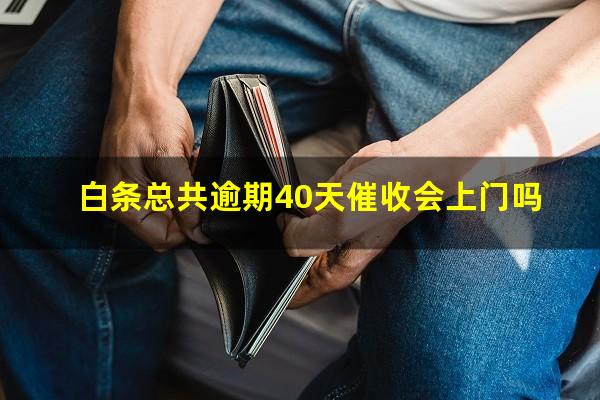 白条总共逾期40天催收会上门吗