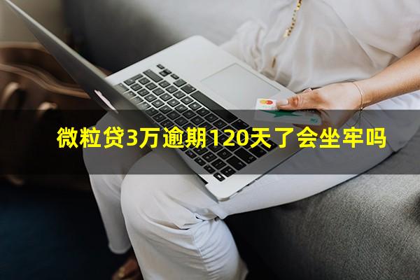 微粒贷3万逾期120天了会坐牢吗