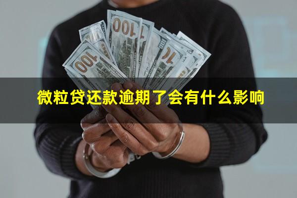 微粒贷还款逾期了会有什么影响?微粒贷逾期了还进去还可以正常使用吗