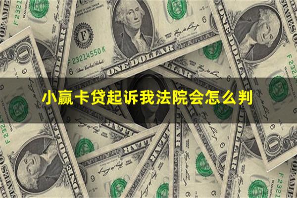 小赢卡贷起诉我法院会怎么判?小赢卡贷2023年起诉案例