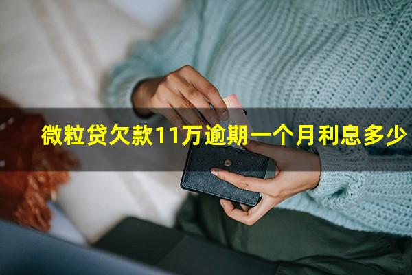 微粒贷欠款11万逾期一个月利息多少