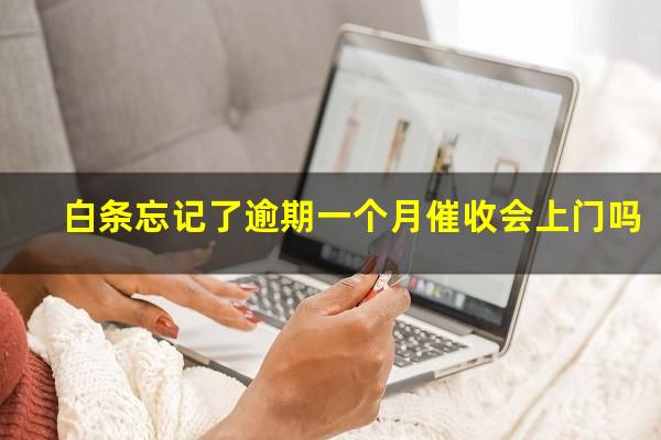 白条忘记了逾期一个月催收会上门吗