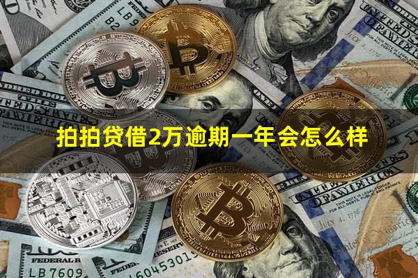 拍拍贷借2万逾期一年会怎么样