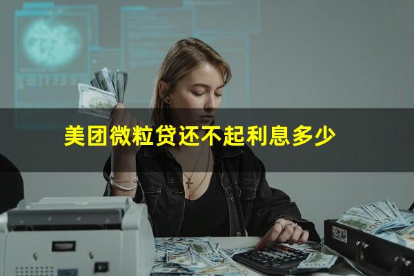 美团微粒贷还不起利息多少