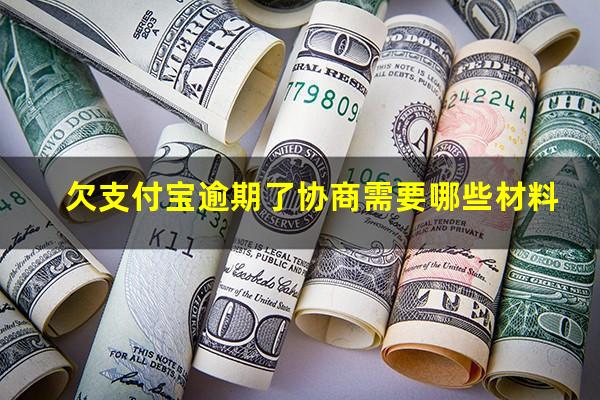 欠支付宝逾期了协商需要哪些材料?支付宝逾期想协商还款应该通过哪个部门