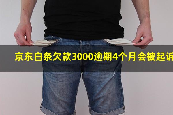 京东白条欠款3000逾期4个月会被起诉吗