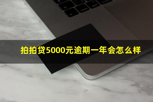 拍拍贷5000元逾期一年会怎么样?拍拍贷欠五千逾期变成一万七要起诉我