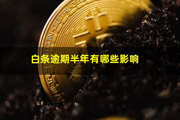 白条逾期半年有哪些影响?白条逾期半年多了会被起诉吗