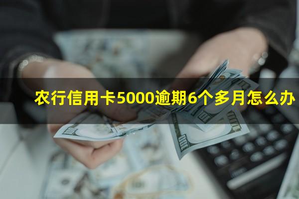 农行信用卡5000逾期6个多月怎么办?农行信用卡6000元三年没还