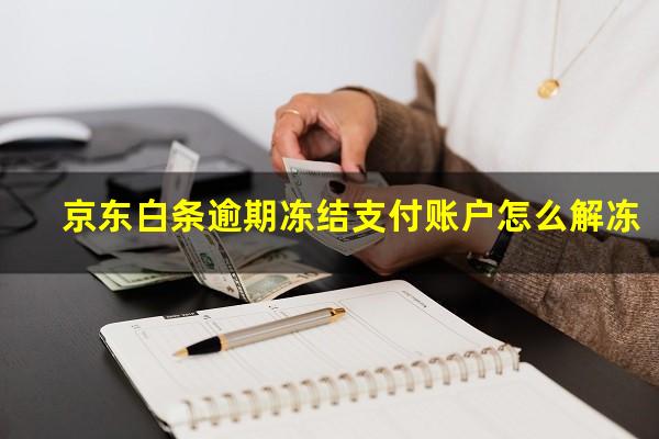 京东白条逾期冻结支付账户怎么解冻