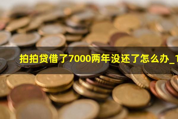 拍拍贷借了7000两年没还了怎么办_1?拍拍贷借了500两年多了