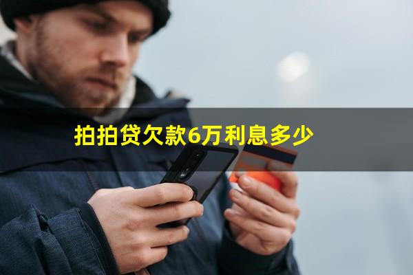 拍拍贷欠款6万利息多少?拍拍贷欠款6万利息多少钱