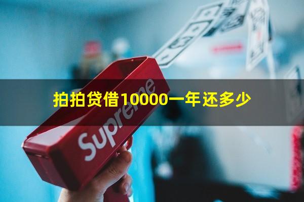 拍拍贷借10000一年还多少