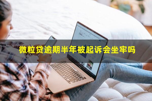 微粒贷逾期半年被起诉会坐牢吗