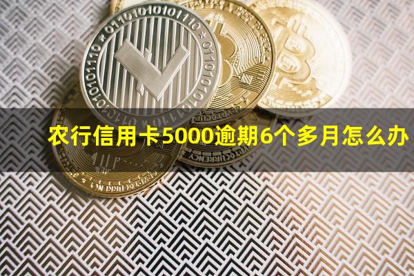 农行信用卡5000逾期6个多月怎么办