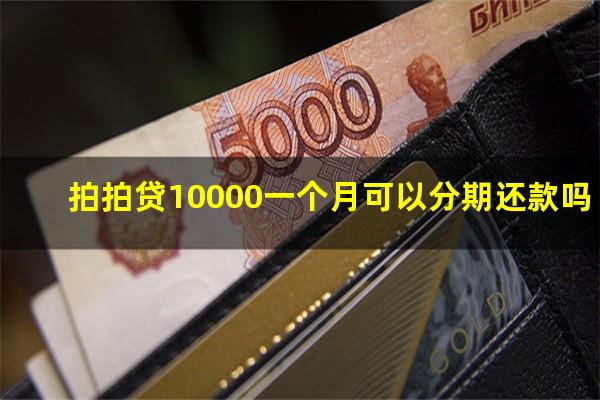 拍拍贷10000一个月可以分期还款吗?拍拍贷借1万分12期每月还多少