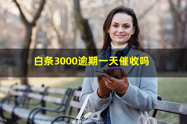 白条3000逾期一天催收吗