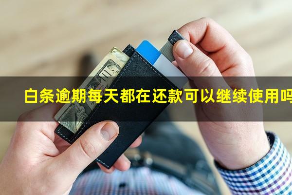 白条逾期每天都在还款可以继续使用吗