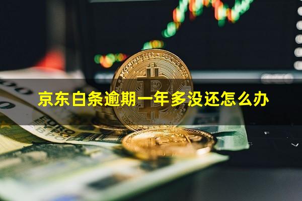 京东白条逾期一年多没还怎么办