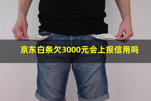 京东白条欠3000元会上报信用吗