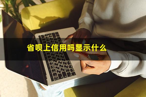 省呗上信用吗显示什么