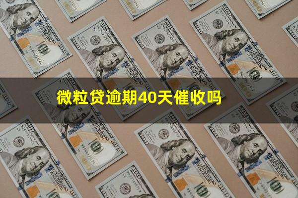 微粒贷逾期40天催收吗