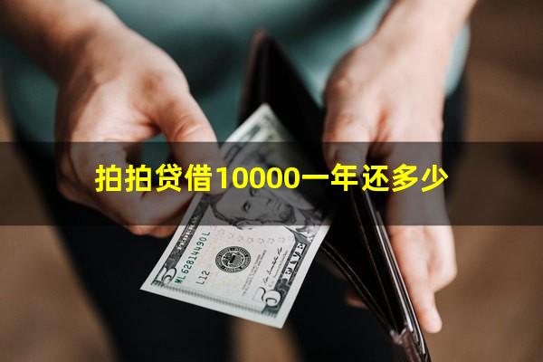 拍拍贷借10000一年还多少?拍拍贷借10000一年还多少利息