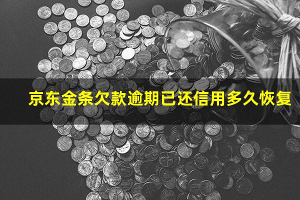 京东金条欠款逾期已还信用多久恢复