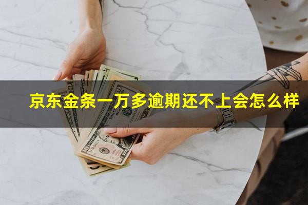 京东金条一万多逾期还不上会怎么样?京东金条欠了一万二逾期半年说起诉我