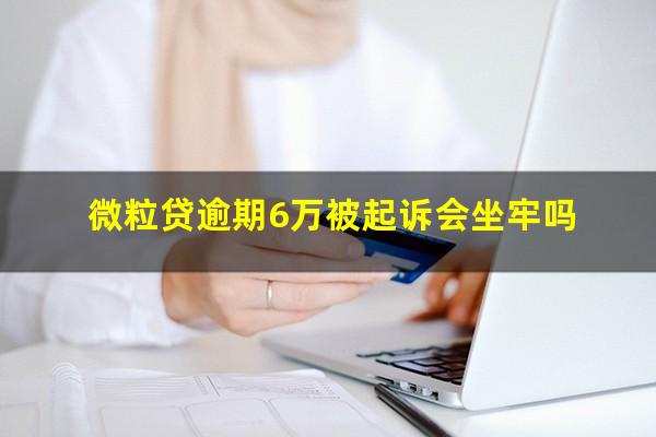 微粒贷逾期6万被起诉会坐牢吗?微粒贷逾期6000一年了会被起诉吗