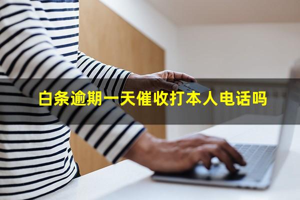 白条逾期一天催收打本人电话吗?白条逾期天天电话 好好沟通说明情况不听