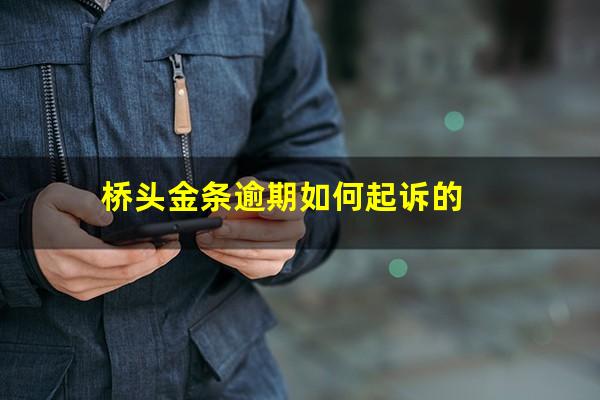 桥头金条逾期如何起诉的?金条逾期报警会立案吗