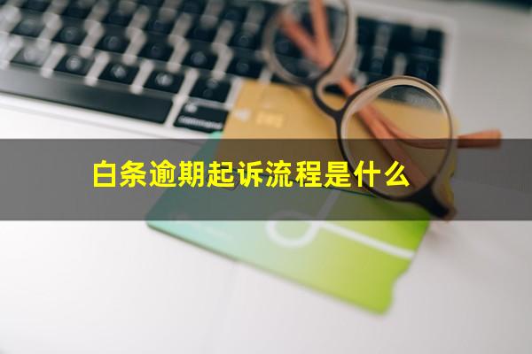 白条逾期起诉流程是什么?白条逾期了怎么样