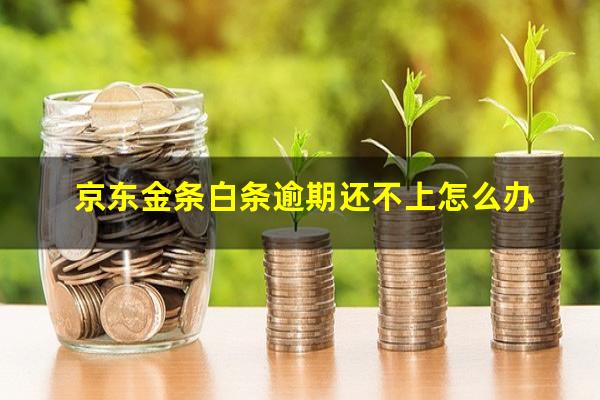 京东金条白条逾期还不上怎么办?京东白条金条逾期会被列为失信人吗