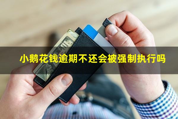 小鹅花钱逾期不还会被强制执行吗