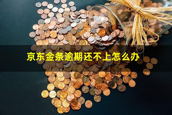 京东金条逾期还不上怎么办?京东金条逾期有影响吗?会有什么样的惩罚?