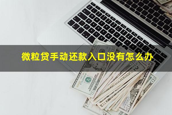 微粒贷手动还款入口没有怎么办