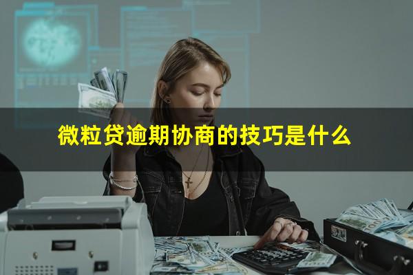 微粒贷逾期协商的技巧是什么