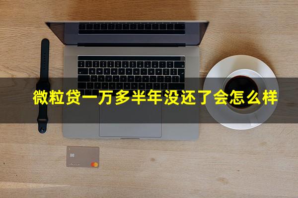 微粒贷一万多半年没还了会怎么样?微粒贷欠了一年多了一万多被起诉了会坐牢