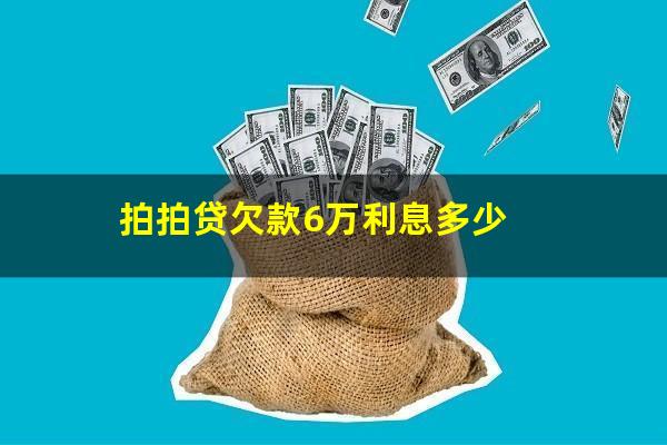 拍拍贷欠款6万利息多少